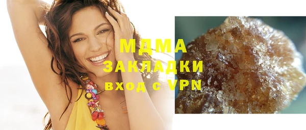 индика Гусь-Хрустальный