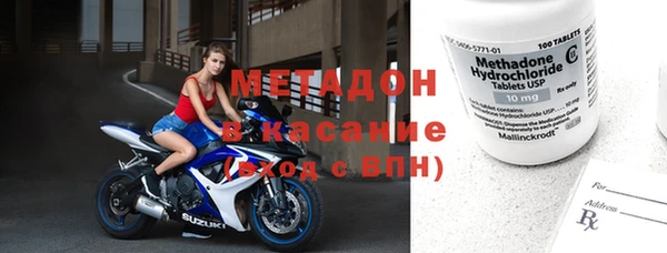 индика Гусь-Хрустальный