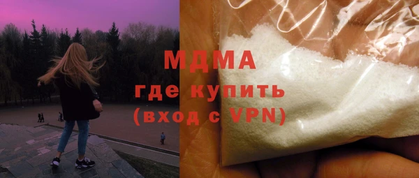 индика Гусь-Хрустальный