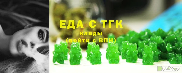 индика Гусь-Хрустальный