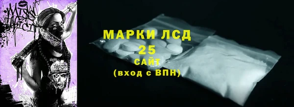 apvp Гусиноозёрск