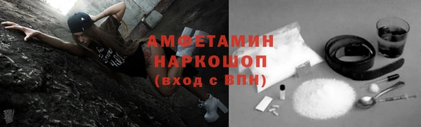 индика Гусь-Хрустальный