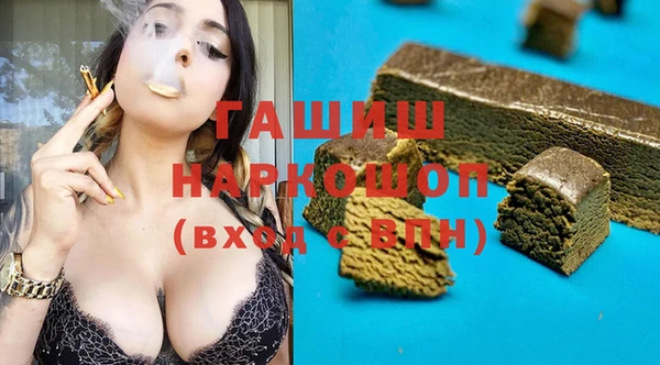 индика Гусь-Хрустальный