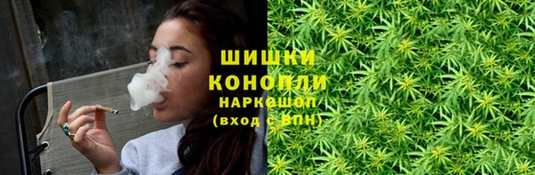 apvp Гусиноозёрск