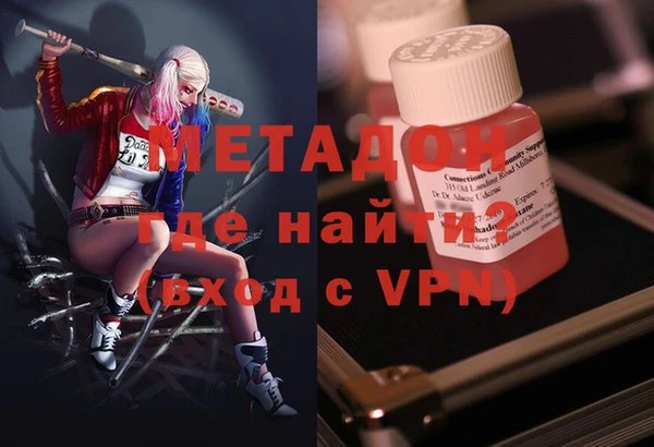 индика Гусь-Хрустальный