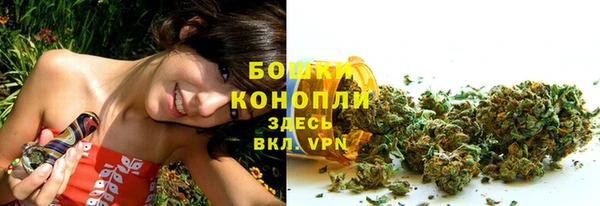 прущая мука Гусев