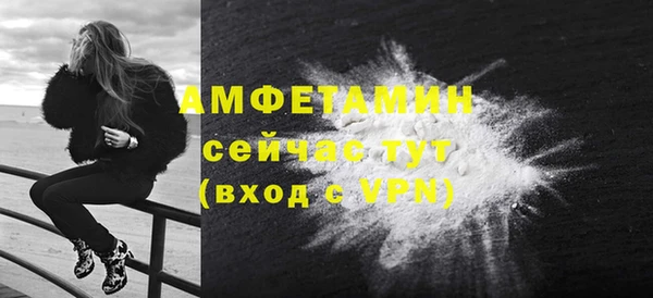 индика Гусь-Хрустальный