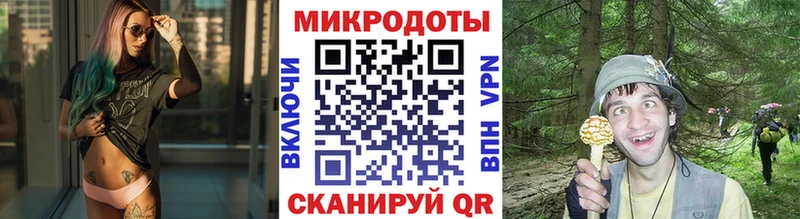shop Telegram  Москва  Галлюциногенные грибы GOLDEN TEACHER 